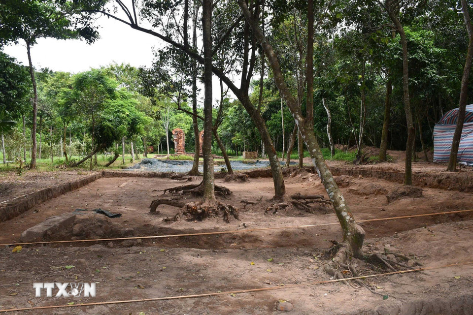 Khu vực khai quật nằm trong phạm vi rừng cây lâu năm ở phía đông tháp K, là một không gian khá bằng phẳng, thoáng đãng kéo dài từ tháp K vào đến khu tháp E, F trong trung tâm thung lũng Mỹ Sơn. (Ảnh: Đàn Hữu Trung/TTXVN)