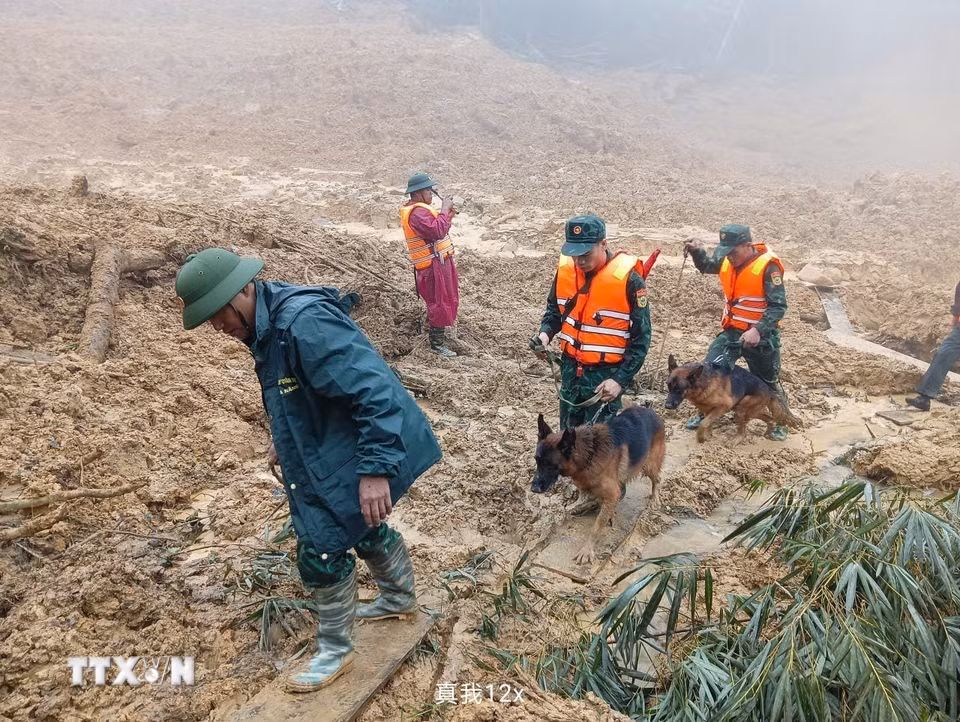 Triển khai lực lượng tìm kiếm nạn nhân mất tích trong vụ sạt lở ở xã biên giới Hùng Sơn với sự hỗ trợ của chó nghiệp vụ. (Ảnh: Bộ Tư lệnh Quân khu 5/TTXVN phát)