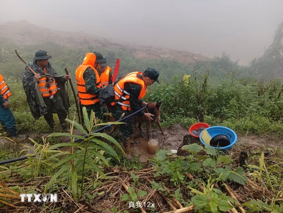 Triển khai lực lượng tìm kiếm nạn nhân mất tích trong vụ sạt lở ở xã biên giới Hùng Sơn với sự hỗ trợ của chó nghiệp vụ. (Ảnh: Bộ Tư lệnh Quân khu 5/TTXVN phát)