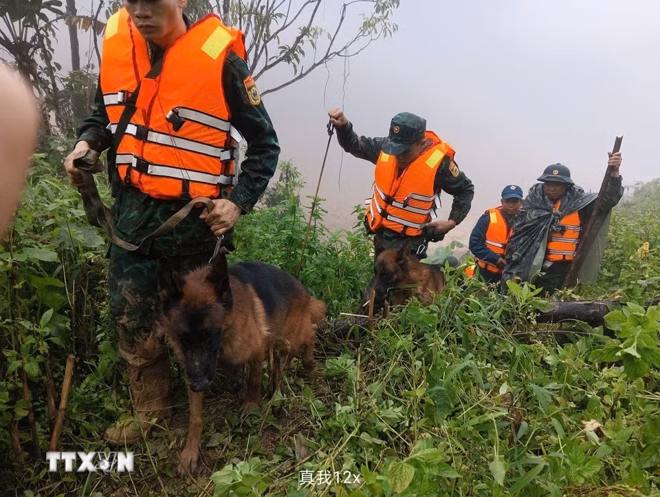 Triển khai lực lượng tìm kiếm nạn nhân mất tích trong vụ sạt lở ở xã biên giới Hùng Sơn với sự hỗ trợ của chó nghiệp vụ. (Ảnh: Bộ Tư lệnh Quân khu 5/TTXVN phát)