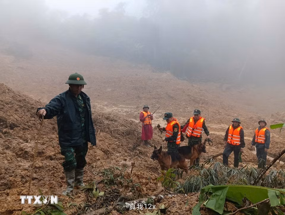 Triển khai lực lượng tìm kiếm nạn nhân mất tích trong vụ sạt lở ở xã biên giới Hùng Sơn với sự hỗ trợ của chó nghiệp vụ. (Ảnh: Bộ Tư lệnh Quân khu 5/TTXVN phát)