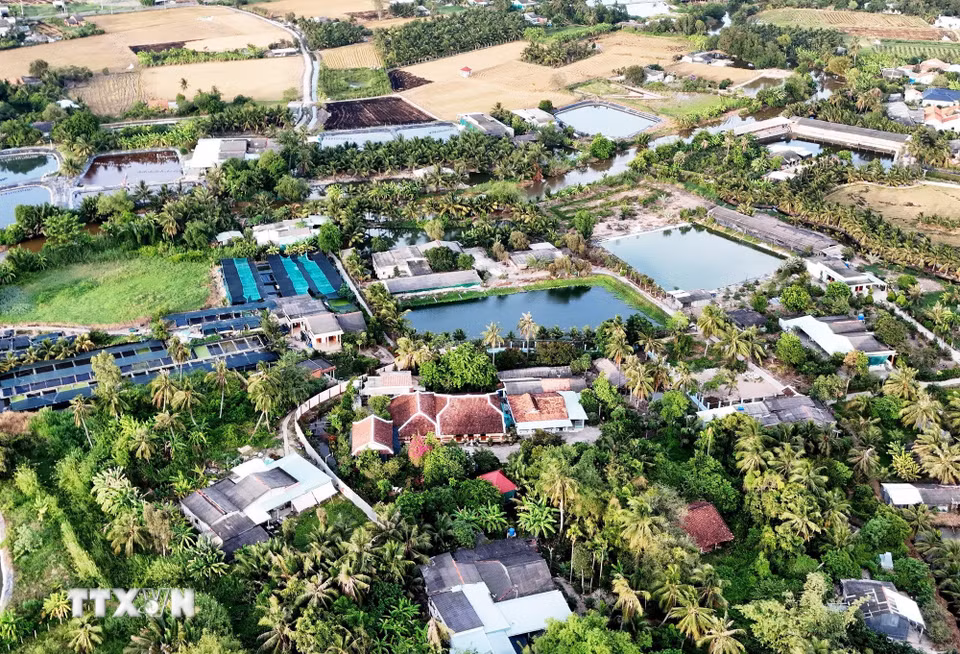 Nhà thờ cổ họ Lê ở ấp Thạnh Lợi, xã Đức Tân, huyện Tân Trụ, tỉnh Long An được ông Lê Văn Khiêm, một phú nông trên vùng đất này xây cất từ những năm đầu thế kỷ 20. (Ảnh: Hồng Đạt/TTXVN)