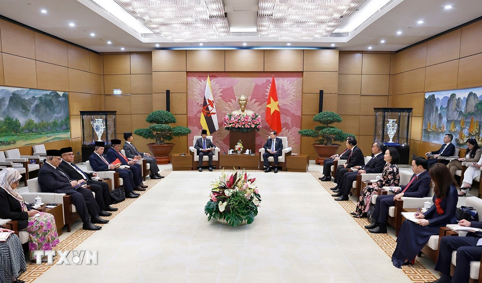 Chủ tịch Quốc hội Trần Thanh Mẫn hội kiến Quốc vương Brunei Darussalam Haji Hassanal Bolkiah. (Ảnh: Doãn Tấn/TTXVN)