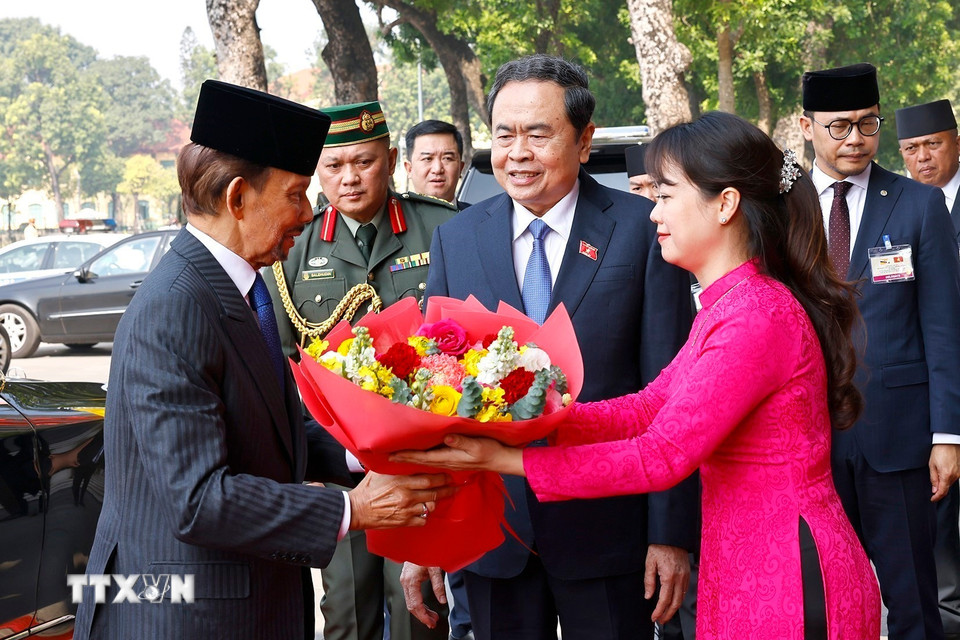 Chủ tịch Quốc hội Trần Thanh Mẫn đón Quốc vương Brunei Darussalam Haji Hassanal Bolkiah. (Ảnh: Doãn Tấn/TTXVN)