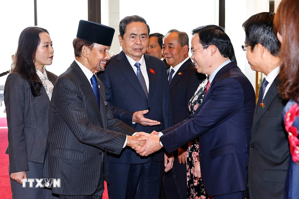 Chủ tịch Quốc hội Trần Thanh Mẫn và đoàn đại biểu Việt Nam đón Quốc vương Brunei Darussalam Haji Hassanal Bolkiah. (Ảnh: Doãn Tấn/TTXVN)