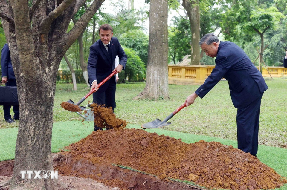 Tổng Bí thư Tô Lâm và Tổng thống Pháp Emmanuel Macron trồng cây hữu nghị trong Khu di tích Chủ tịch Hồ Chí Minh tại Phủ Chủ tịch. (Ảnh: Phạm Kiên/TTXVN)