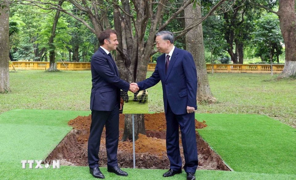Tổng Bí thư Tô Lâm và Tổng thống Pháp Emmanuel Macron tại lễ trồng cây hữu nghị. (Ảnh: Phạm Kiên/TTXVN)