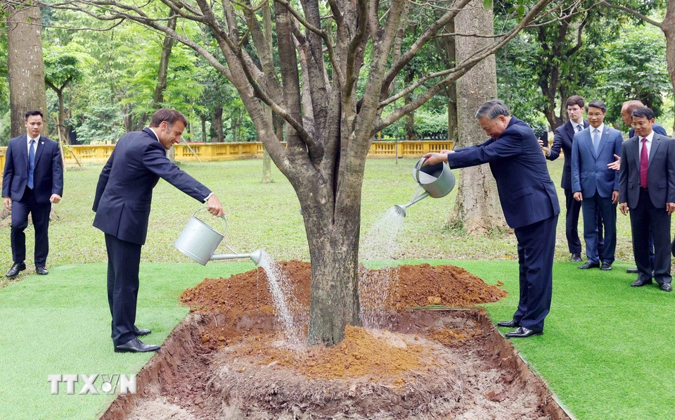 Tổng Bí thư Tô Lâm và Tổng thống Pháp Emmanuel Macron trồng cây hữu nghị trong Khu di tích Chủ tịch Hồ Chí Minh tại Phủ Chủ tịch. (Ảnh: Phạm Kiên/TTXVN)