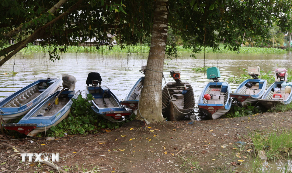 Những chiếc võ lãi composite của phụ huynh chờ đón con tan học ở xã Mỹ Phước (thành phố Cần Thơ). (Ảnh: Tuấn Phi/TTXVN)