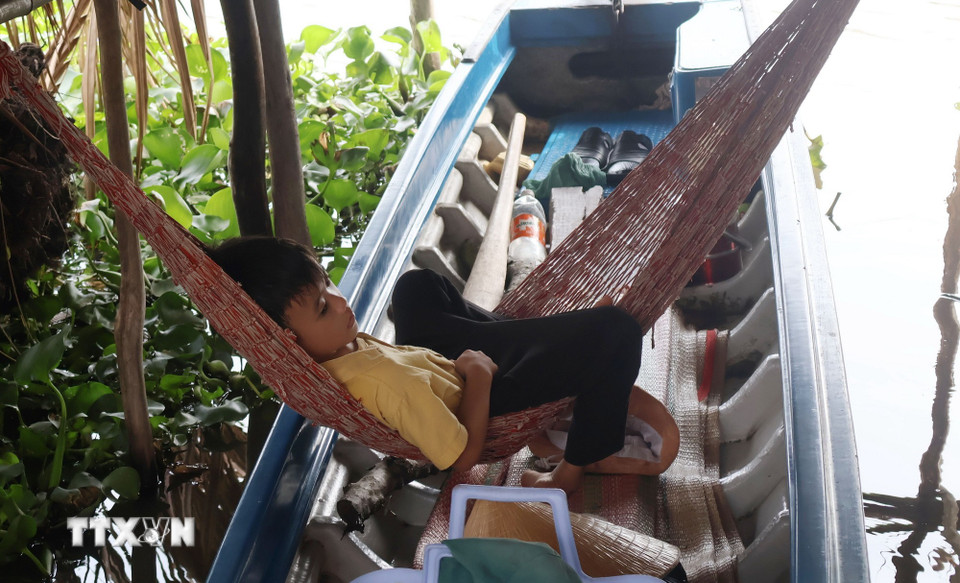Nhiều hộ gia đình mang theo võng để cho trẻ nghỉ ngơi sau những giờ học tập. (Ảnh: Tuấn Phi/TTXVN)