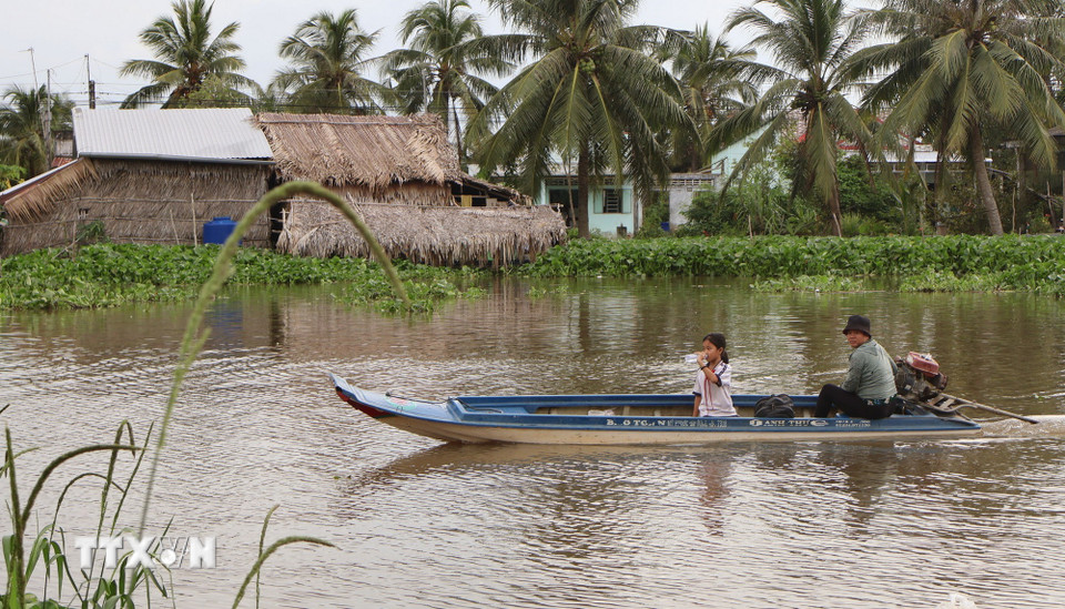 Phụ huynh đưa đón con đi học bằng xuồng. (Ảnh: Tuấn Phi/TTXVN)