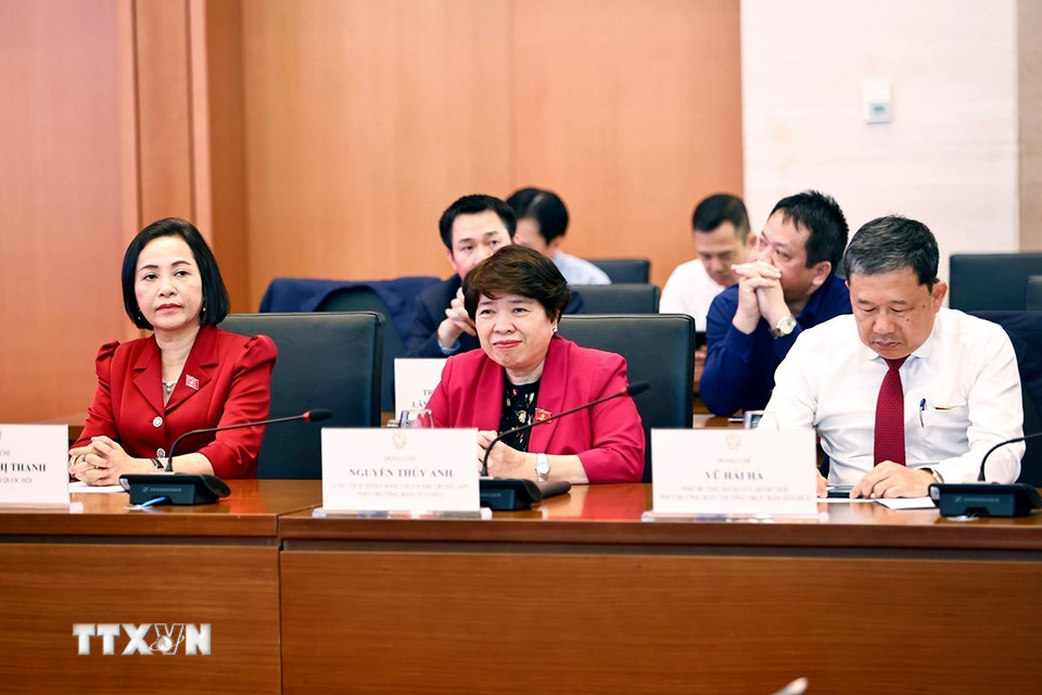 Đại biểu dự cuộc họp tổng kết.(Ảnh: Doãn Tấn/TTXVN)