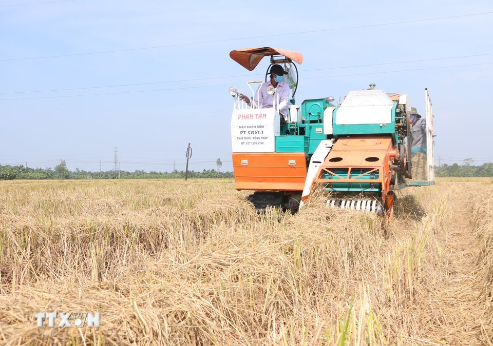 Xe cuốn rơm rạ hoạt động trên đồng.(Ảnh: Tuấn Phi/TTXVN)