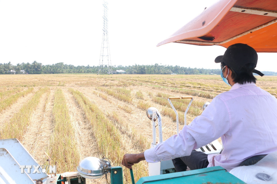 Tài xế xe cuốn rơm điều khiển xe trên đồng ruộng miền Tây Nam bộ. (Ảnh: Tuấn Phi/TTXVN)