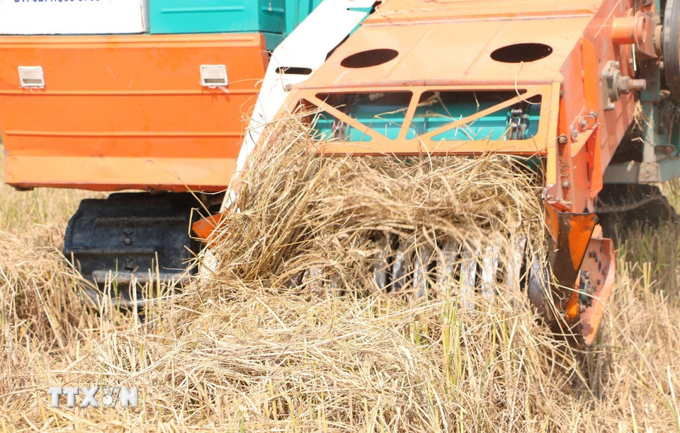 Xe cuốn rơm rạ hoạt động trên đồng. (Ảnh: Tuấn Phi/TTXVN)