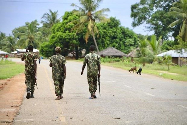 Mozambique: 10 người thiệt mạng vụ tấn công của phần tử thánh chiến ảnh 1