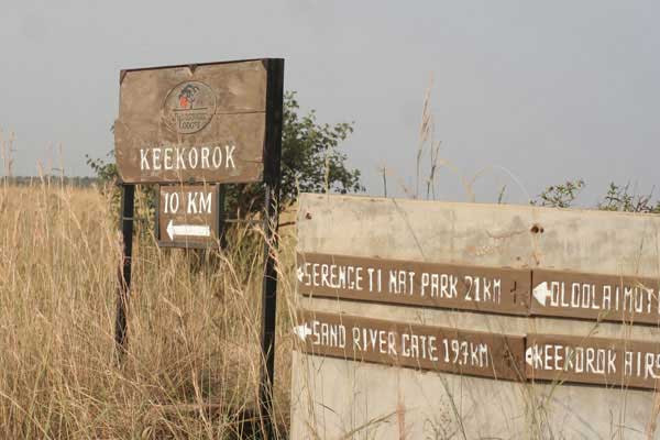 Hướng dẫn viên du lịch Trung Quốc bất ngờ đâm chết du khách ảnh 1