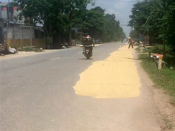 Bổ sung năm tuyến Quốc lộ vào quy hoạch phát triển giao thông ảnh 1