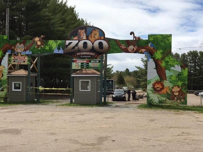 Chủ vườn thú đối mặt với án phạt nặng do ngược đãi động vật ảnh 1