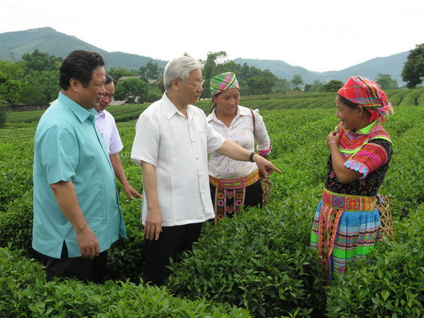 Tuyên Quang tập trung phát triển nông, lâm nghiệp chất lượng cao ảnh 1