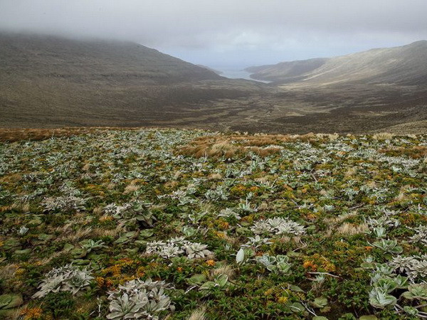 10% diện tích đất hoang dã trên thế giới biến mất kể từ 1993 ảnh 1