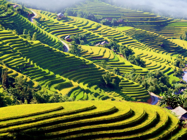 Quảng bá, xúc tiến đầu tư du lịch vùng Tây Bắc tại TP.HCM ảnh 1