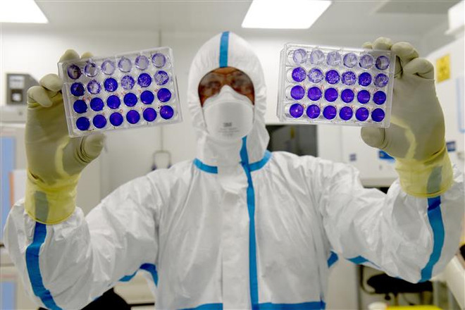 Hãng Valneva bắt đầu thử nghiệm vắcxin COVID-19 tại Anh ảnh 1