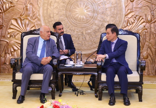 Thúc đẩy quan hệ đoàn kết hữu nghị giữa Việt Nam-Palestine ảnh 1