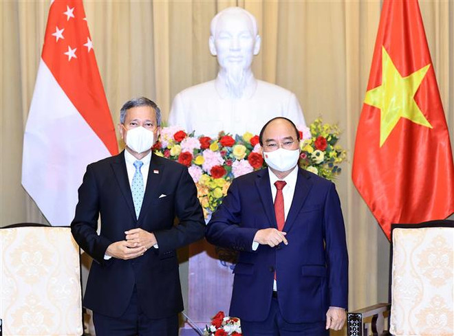 Chủ tịch nước Nguyễn Xuân Phúc tiếp Ngoại trưởng Singapore ảnh 1