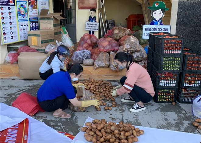 Lâm Đồng ''tiếp'' nông sản cho Thành phố Hồ Chí Minh chống dịch ảnh 1