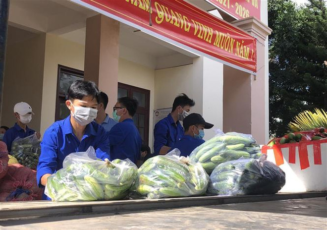 Lâm Đồng ''tiếp'' nông sản cho Thành phố Hồ Chí Minh chống dịch ảnh 2