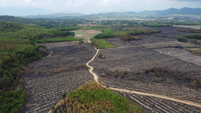 ttxvn_0905_chay rung khanh hoa (2).jpg