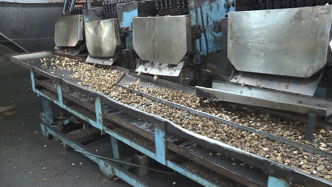 Phú Yên: Xử phạt 250 triệu đồng với doanh nghiệp xả thải ra môi trường ảnh 1