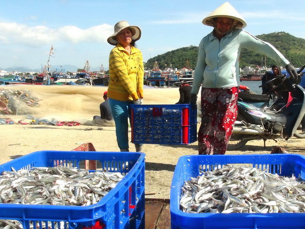 Việt Nam tổ chức tọa đàm về quyền phụ nữ vùng ven biển ảnh 1