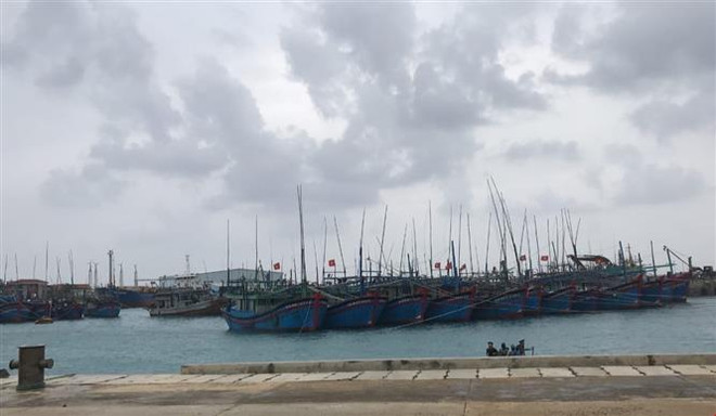 Chiều tối 10/11, bão số 6 đi vào các tỉnh Quảng Ngãi đến Khánh Hòa ảnh 1