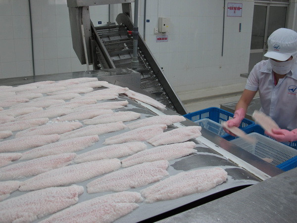 Đề xuất gia hạn “hàng tồn” cá tra không đáp ứng Nghị định 36 ảnh 1