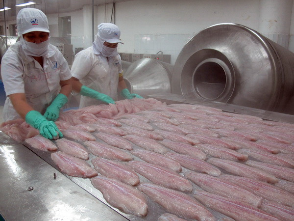 Xuất khẩu cá tra chưa thể phục hồi trong quý 1 năm 2015 ảnh 1