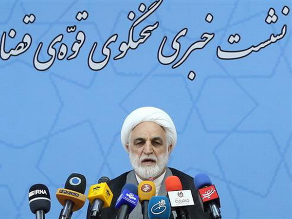 Iran phạt một công dân Mỹ 10 năm tù vì tội xâm nhập trái phép ảnh 1