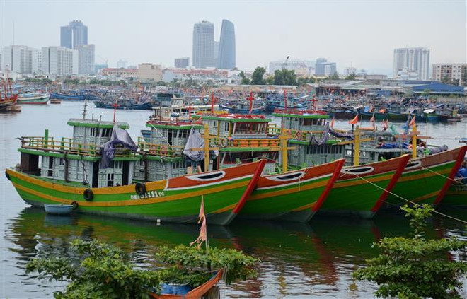 Kinh tế Đà Nẵng nhiều chuyển biến tích cực trong quý đầu năm 2022 ảnh 2