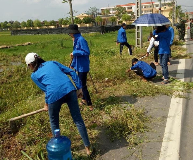 Tuổi trẻ Thủ đô sáng tạo hưởng ứng Ngày Chủ nhật xanh ảnh 1