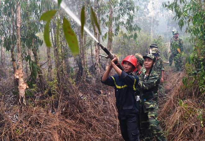 400 lượt người tham gia chữa cháy rừng tràm phòng hộ ở Hòn Đất ảnh 1