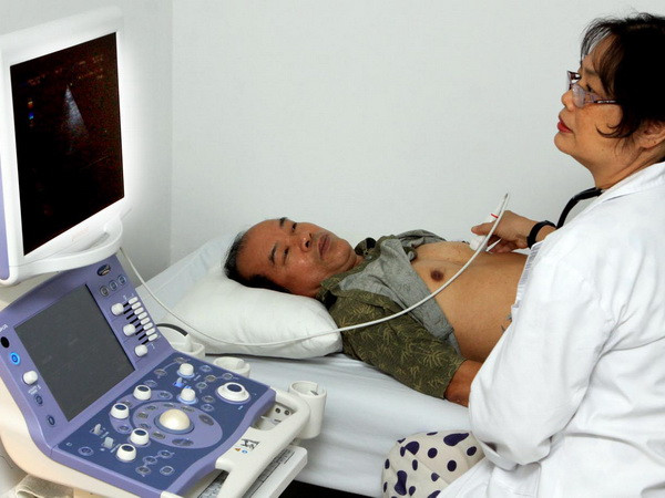 Việt Nam hỗ trợ Lào làm tốt vai trò Chủ tịch ASEAN 2016 ảnh 1