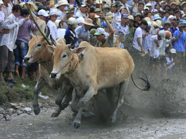 Thăm và tặng quà đồng bào Khmer Sóc Trăng nhân Lễ Sen Dolta ảnh 1