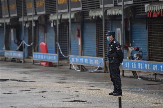Lực lượng an ninh phong tỏa khu chợ hải sản Huanan ở thành phố Vũ Hán, Trung Quốc. (Ảnh: AFP/TTXVN) Trung Quốc: COVID-19 không bắt nguồn từ chợ hải sản Vũ Hán ảnh 1