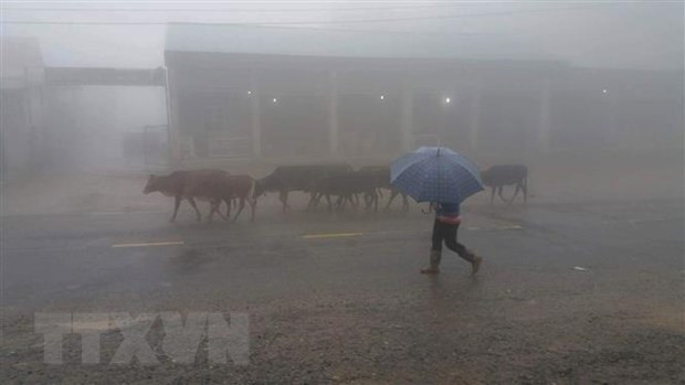 Bắc và Trung Bộ mưa, trời lạnh, vùng núi cao có nơi dưới 12 độ C ảnh 1