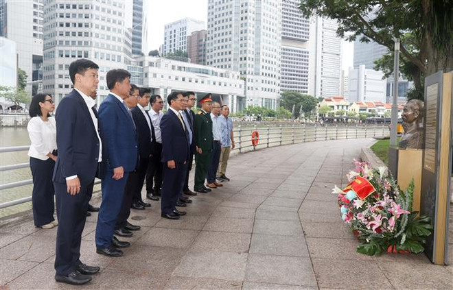 Bộ trưởng Ngoại giao Bùi Thanh Sơn thăm chính thức Singapore ảnh 6