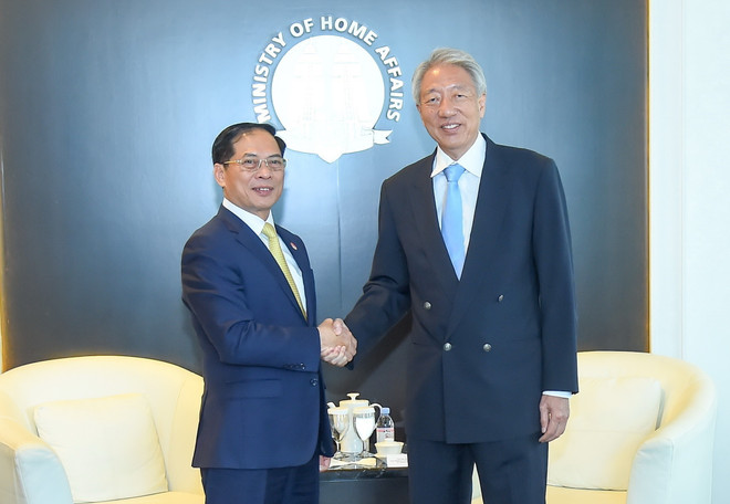 Bộ trưởng Ngoại giao Bùi Thanh Sơn thăm chính thức Singapore ảnh 5