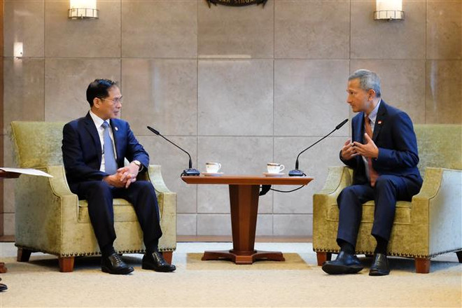 Bộ trưởng Ngoại giao Bùi Thanh Sơn thăm chính thức Singapore ảnh 2