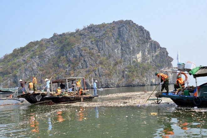 ttxvn_1509_vinh ha long (1).jpg