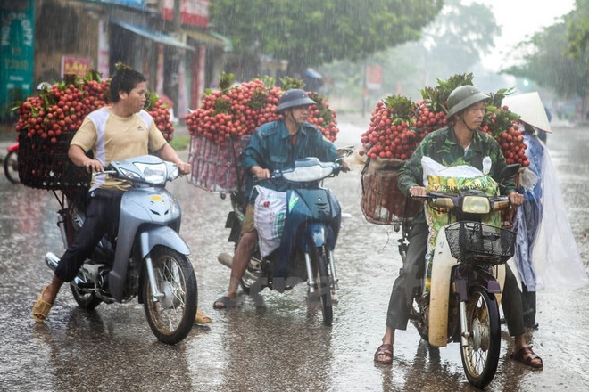 Nông sản Việt trước hội nhập: Tái cơ cấu, hướng tới xuất khẩu ảnh 1